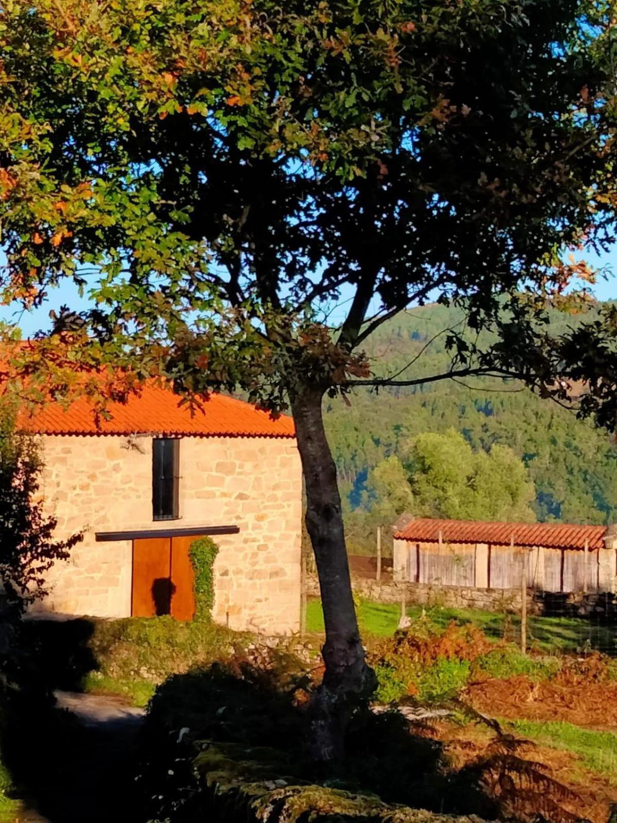 Vive Una Escapada Rural Con Alma, Cerca De Todo Y Lejos Del Ruido Pontevedra Exterior foto