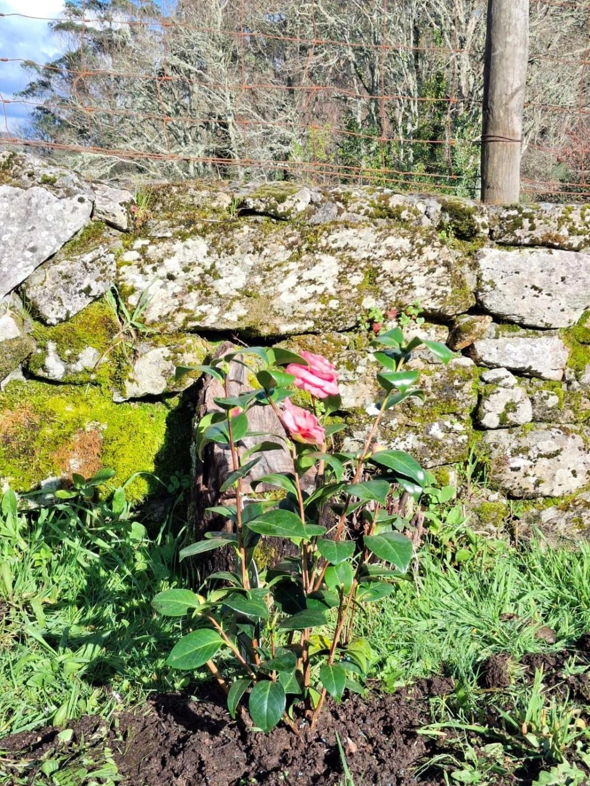 Vive Una Escapada Rural Con Alma, Cerca De Todo Y Lejos Del Ruido Pontevedra Exterior foto